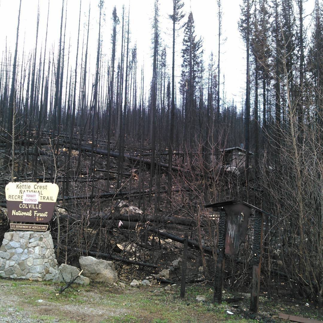 North Kettle Crest Trail trailhead after the Stickpin fire. September 2015