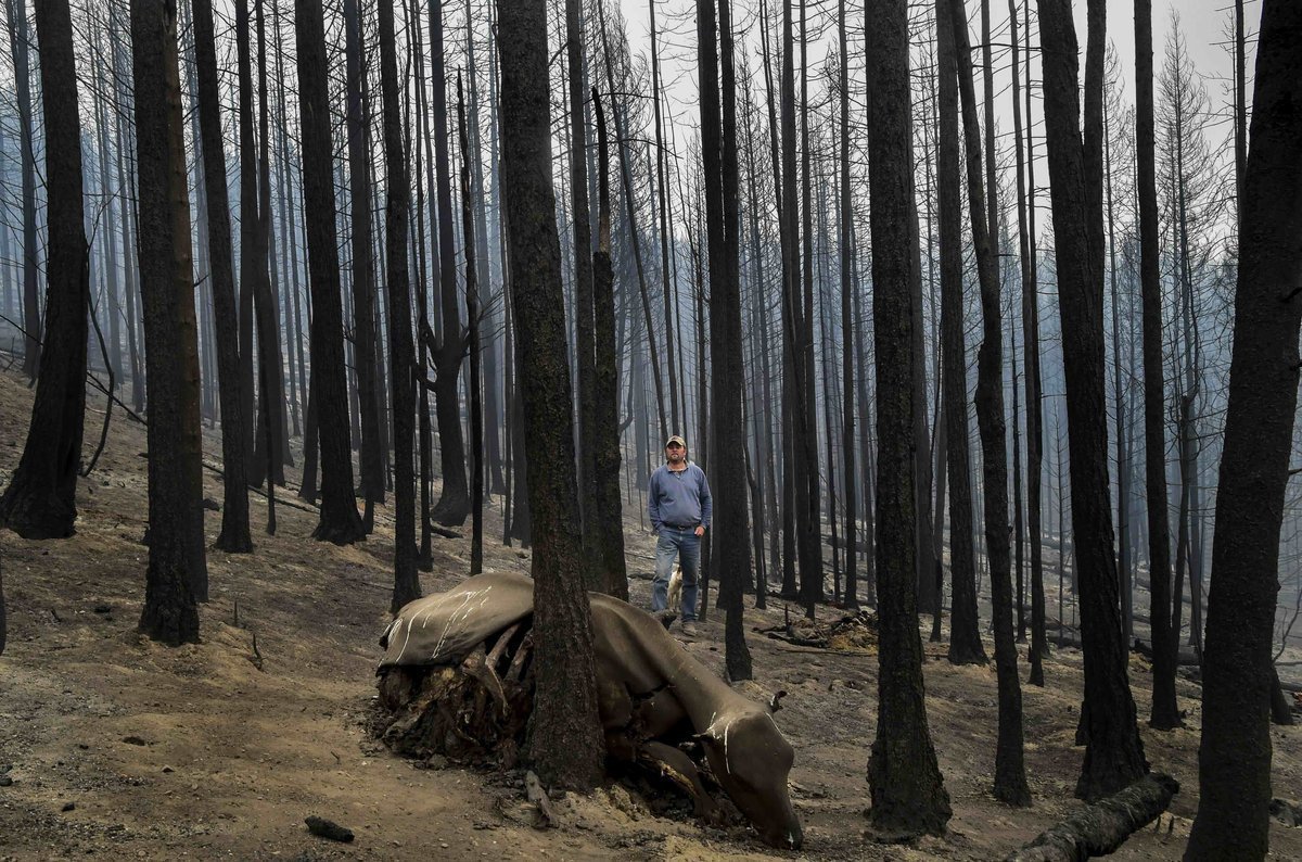 Stickpin Fire 2015. Photo by Tyler Tjomsland. Reused with permission from The Spokesman-Review